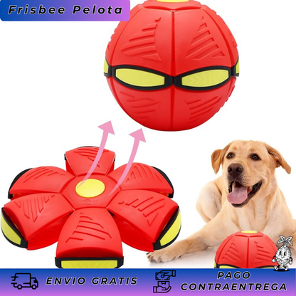 Pelota Balón Volador Frisby Con Luz Led